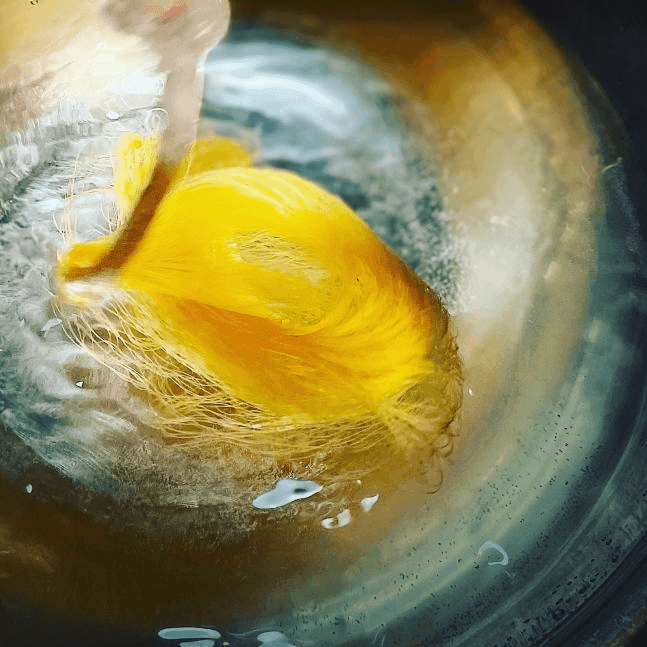 Hand Dyeing1